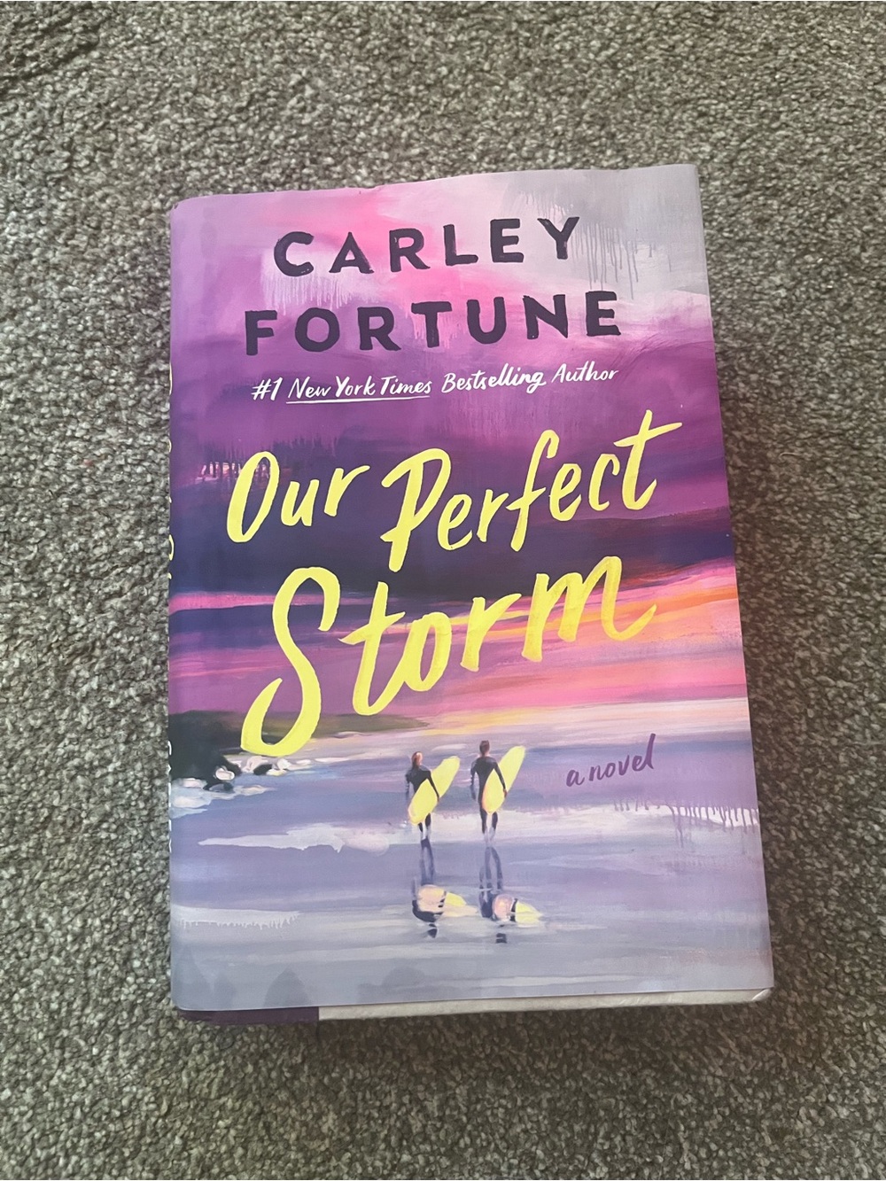 Our Perfect Storm - Purple Hardcover Novel